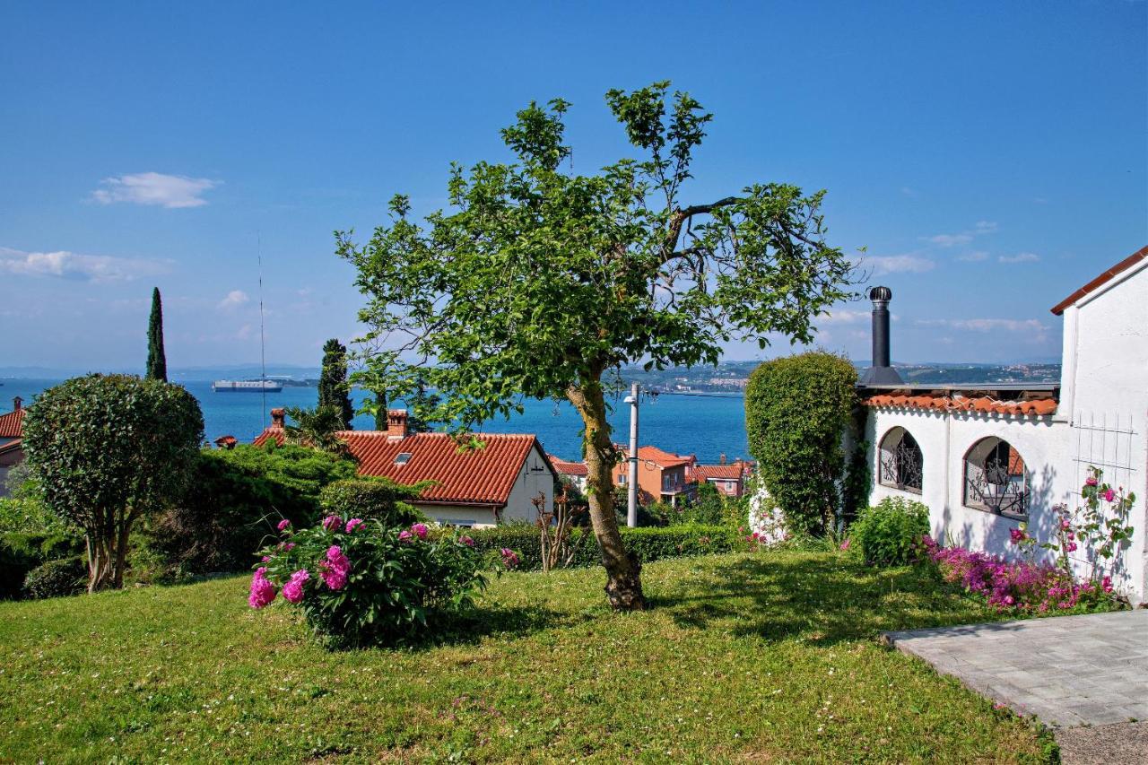 Apartma Ika Apartment Koper Exterior photo